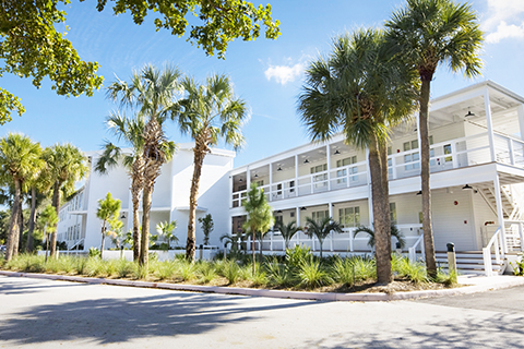 Front part of Campo Sano building in the early noon light. Palm trees are casting a shadow on the parking lot that curves around the white historic building.