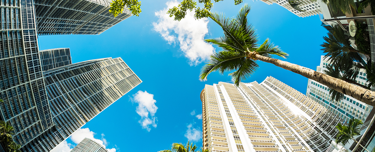 Looking up towards the sky, a blue sky looks down at the viewer, evoking a sense of wonder and excitement at the possibility of your future. 