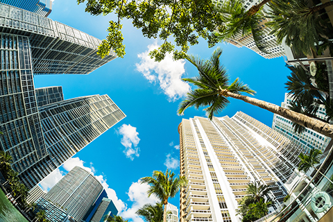 Looking up towards the sky, a blue sky looks down at the viewer, evoking a sense of wonder and excitement at the possibility of your future. 