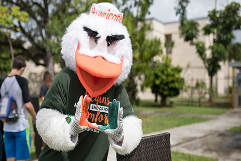 Sebastian the Ibis; the University of Miami mascot.